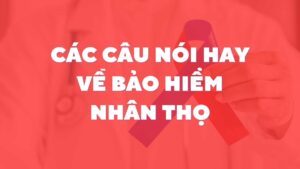 Các câu nói hay về bảo hiểm nhân thọ